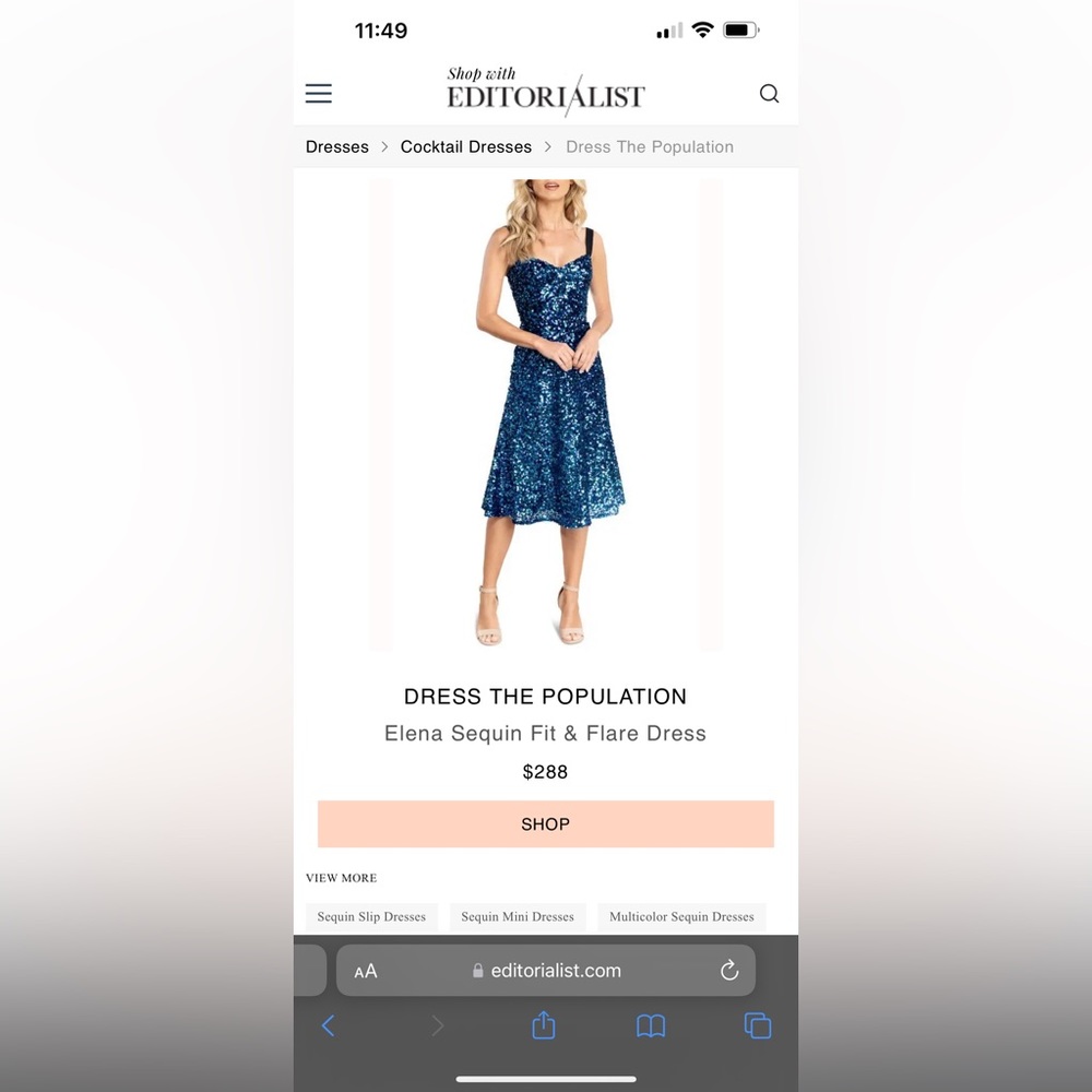 Dress The Population Sequin Dress